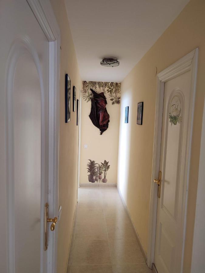 Apartamento En Playa Semi-Privada 贝纳尔马德纳 外观 照片